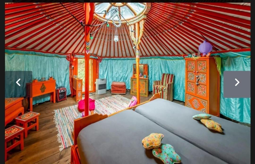 Yourte Mongole Et Cabane Уфализ Екстериор снимка